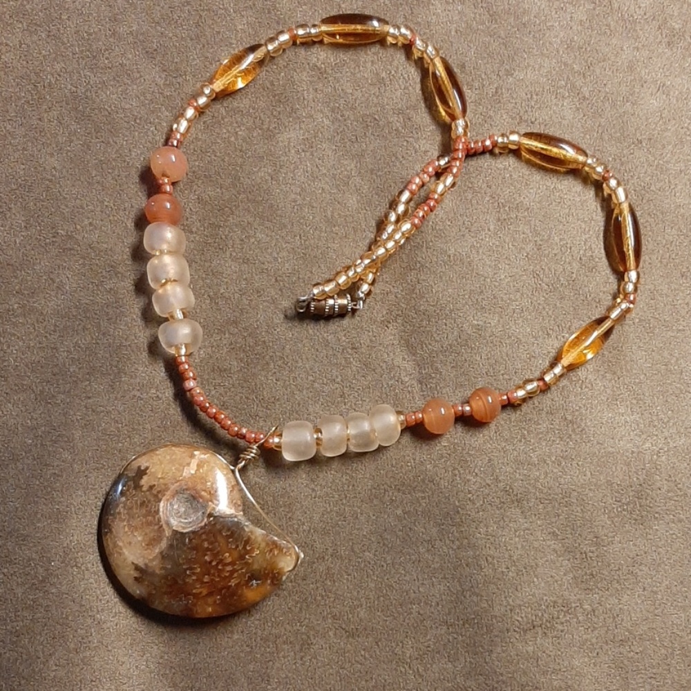 Gorgeous fall color ammonite necklace.